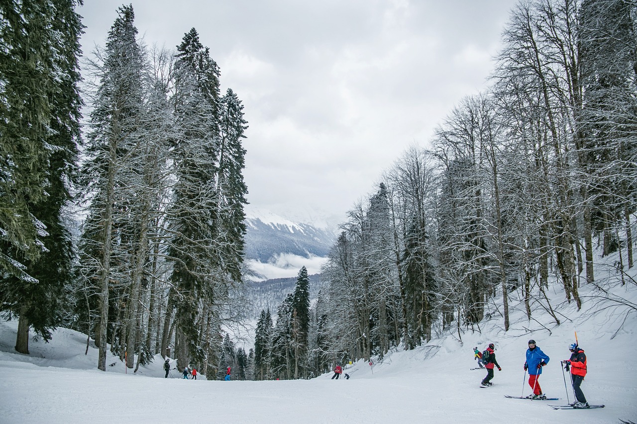 snow-5828736_1280